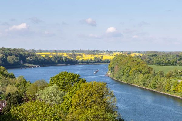 Rapsfelder Ausblick von der alten Levensauer Hochbrücke